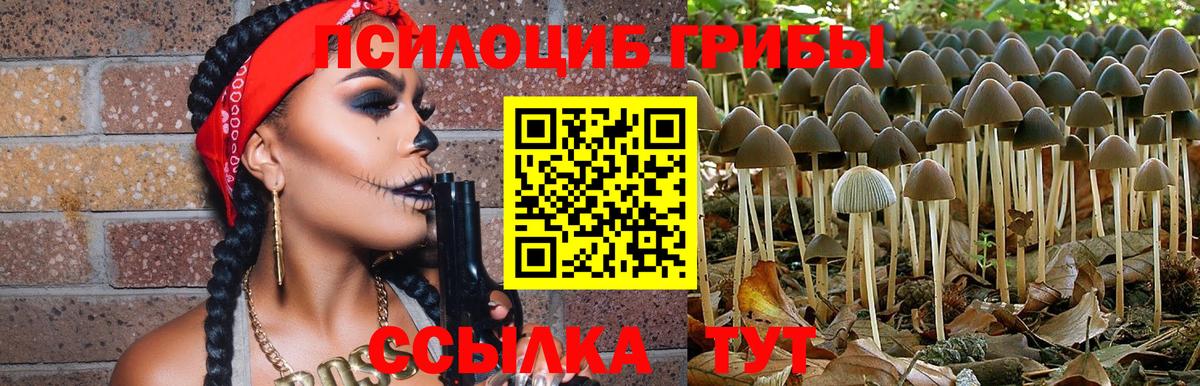 Псилоцибиновые грибы ЛСД Коммунар